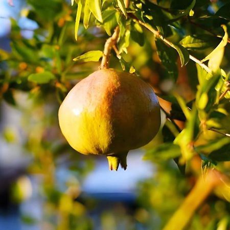 Luna D'Agerola Eksteriør billede